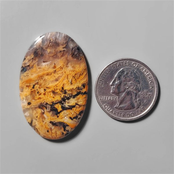 Agate|Dendritic Agate