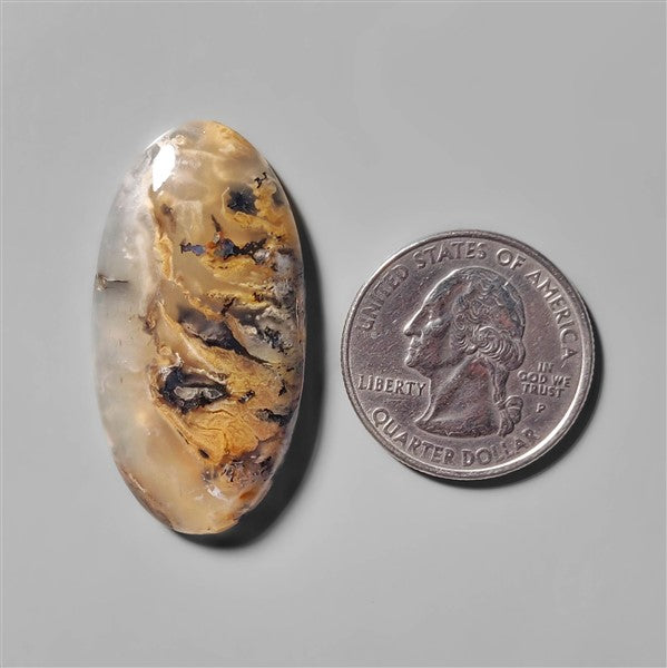Agate|Dendritic Agate