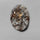 Astrophyllite