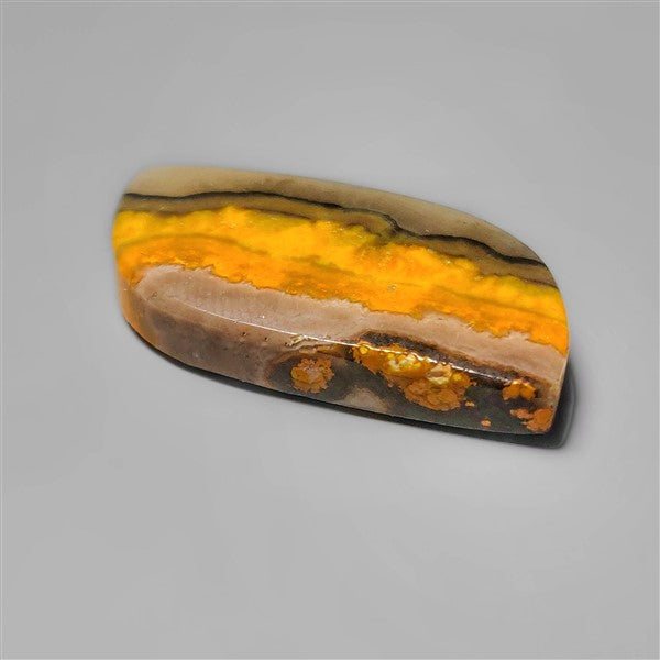 Bumble Bee Jasper