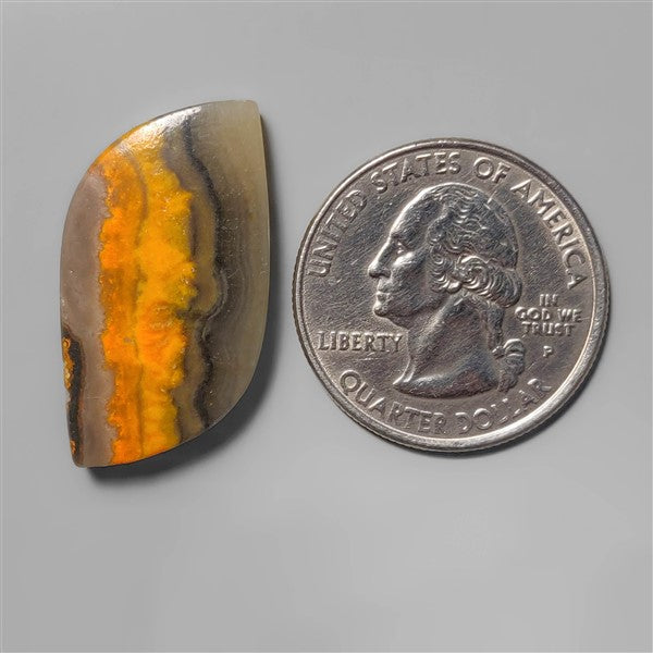 Bumble Bee Jasper
