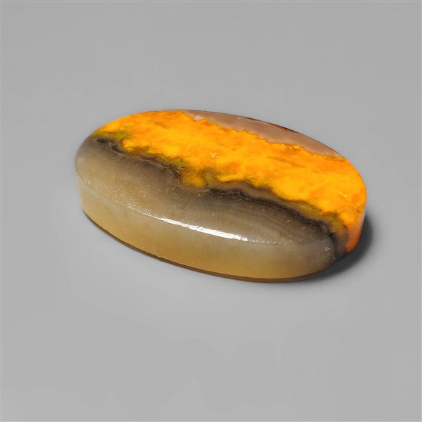 Bumble Bee Jasper