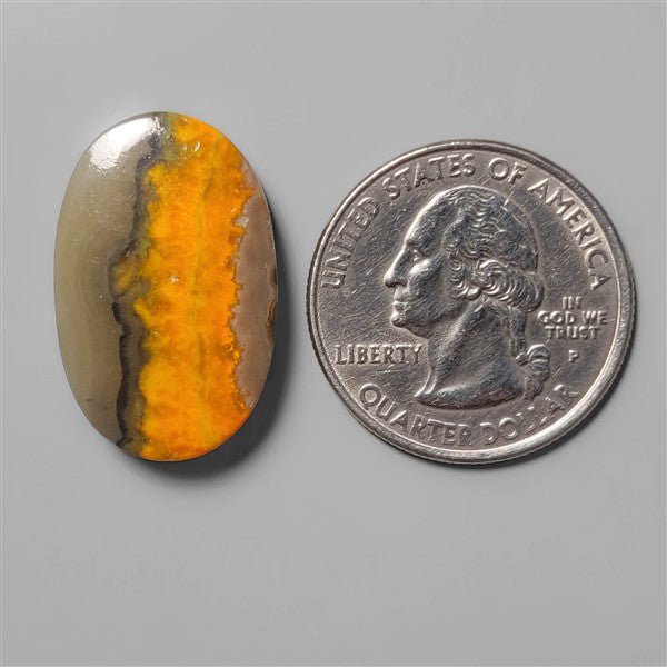 Bumble Bee Jasper