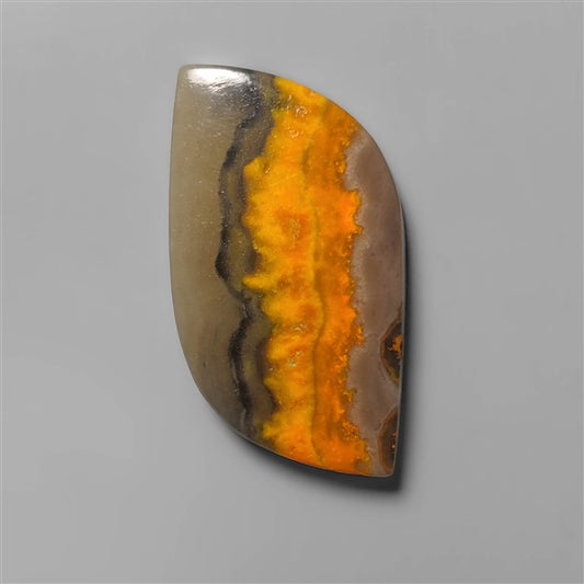 Bumble Bee Jasper