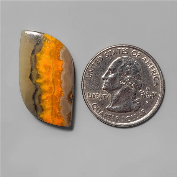 Bumble Bee Jasper
