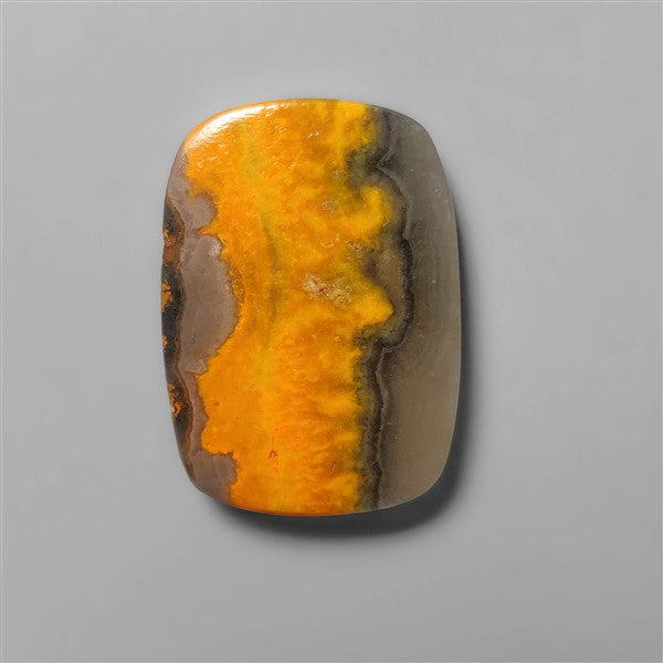 Bumble Bee Jasper