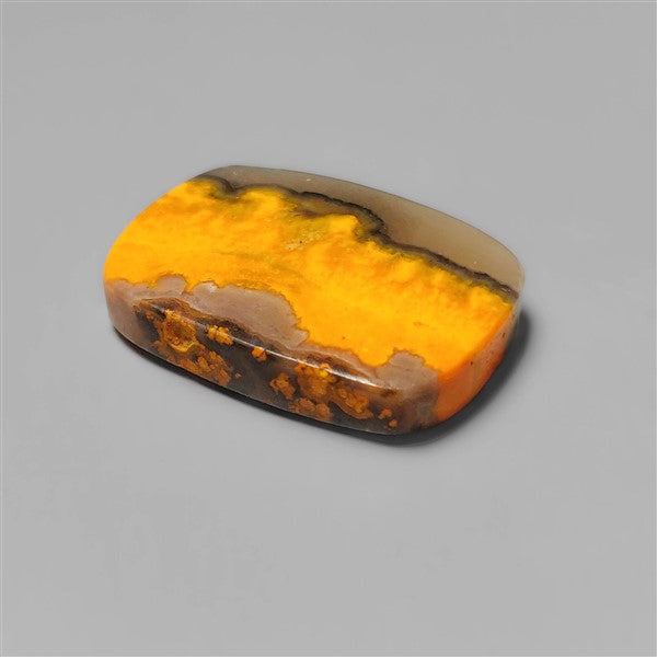 Bumble Bee Jasper