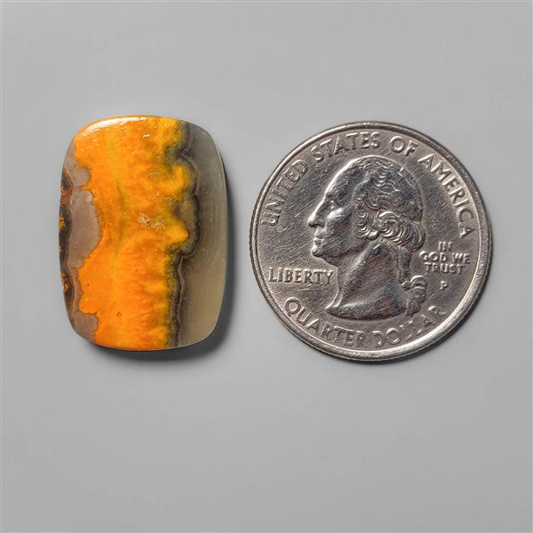 Bumble Bee Jasper