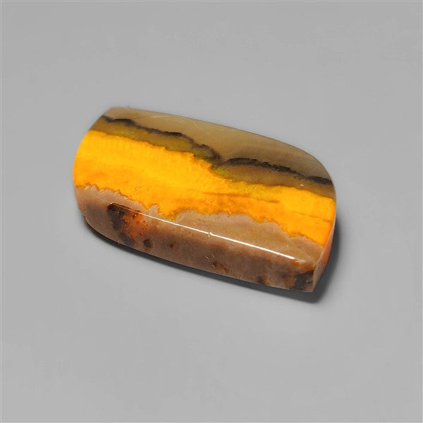Bumble Bee Jasper