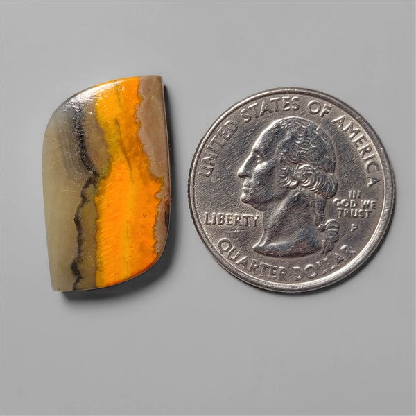 Bumble Bee Jasper
