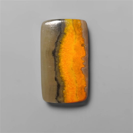 Bumble Bee Jasper