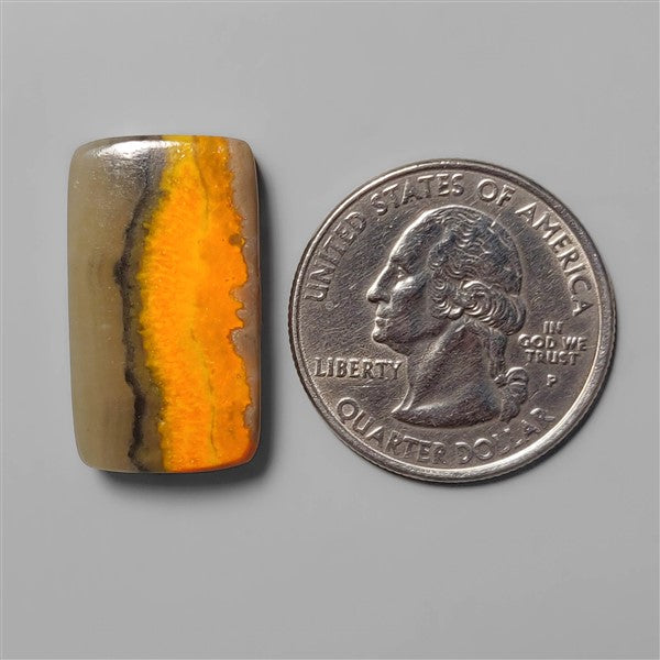 Bumble Bee Jasper