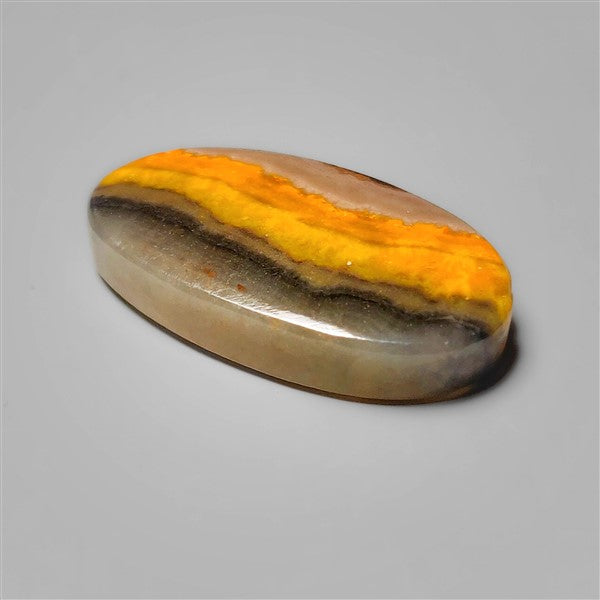 Bumble Bee Jasper