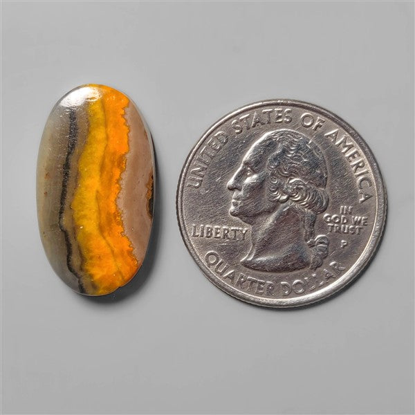 Bumble Bee Jasper