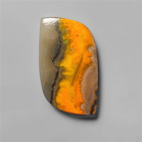Bumble Bee Jasper