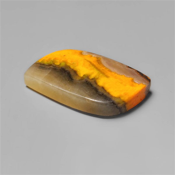 Bumble Bee Jasper