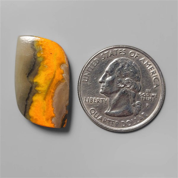 Bumble Bee Jasper