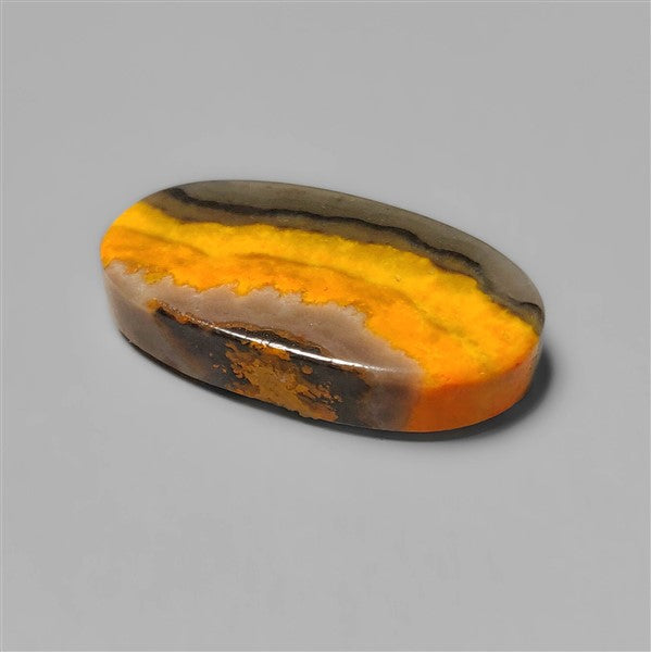 Bumble Bee Jasper