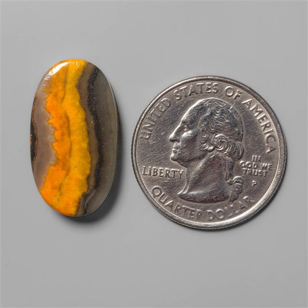 Bumble Bee Jasper