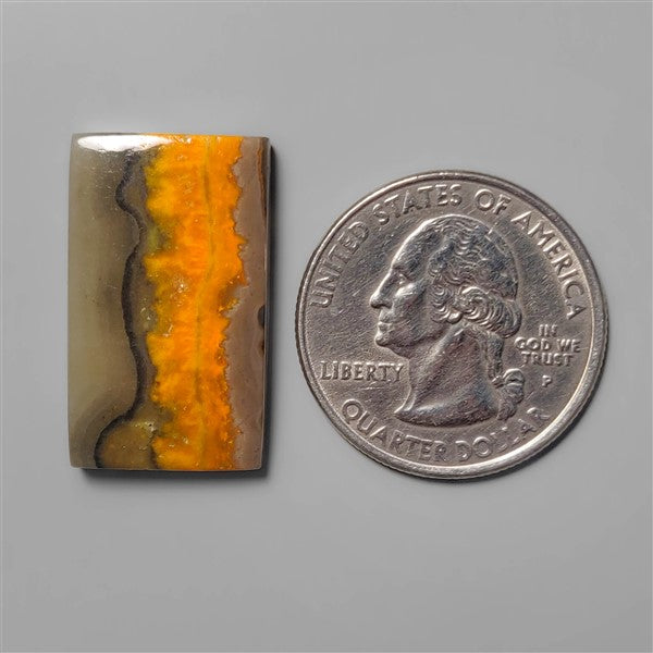 Bumble Bee Jasper