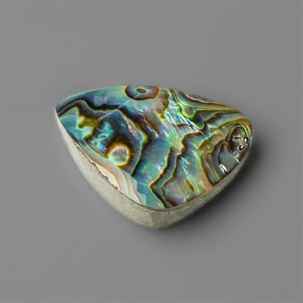 Abalone Shell|Shell