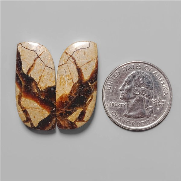 Septarian
