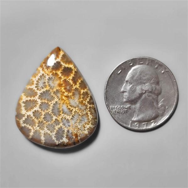 Coral