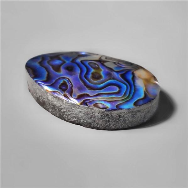 Abalone Shell|Shell