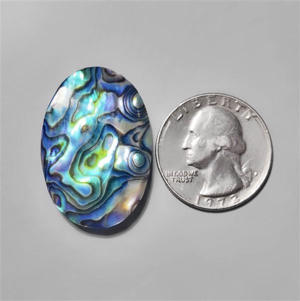Abalone Shell|Shell