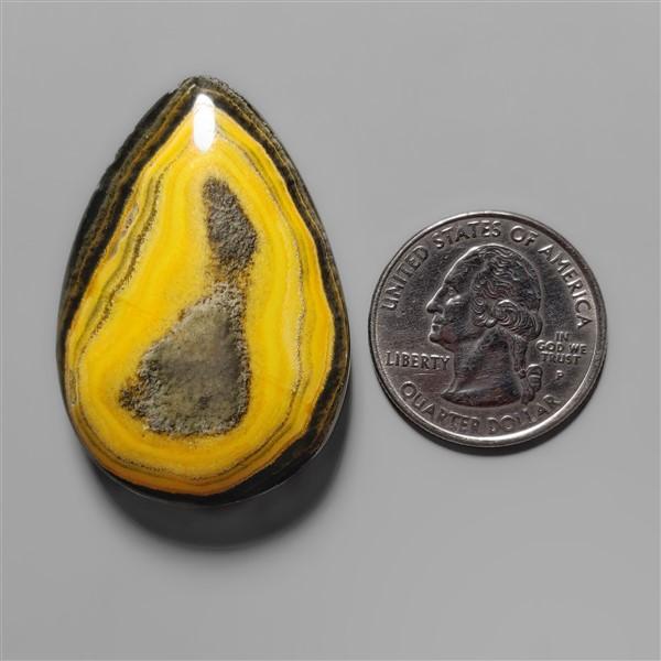 Bumble Bee Jasper