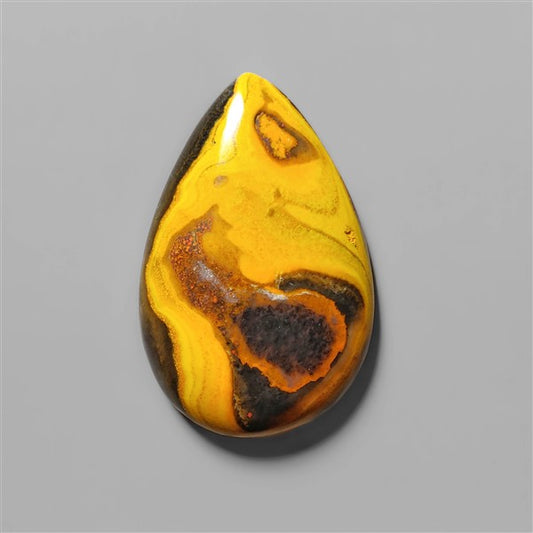 Bumble Bee Jasper