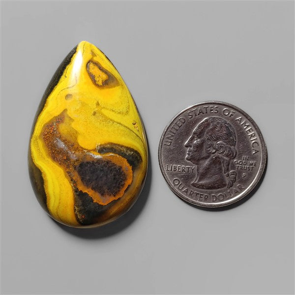 Bumble Bee Jasper