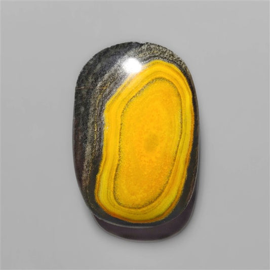 Bumble Bee Jasper