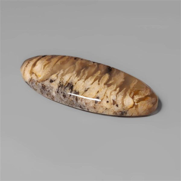 Agate|Dendritic Agate
