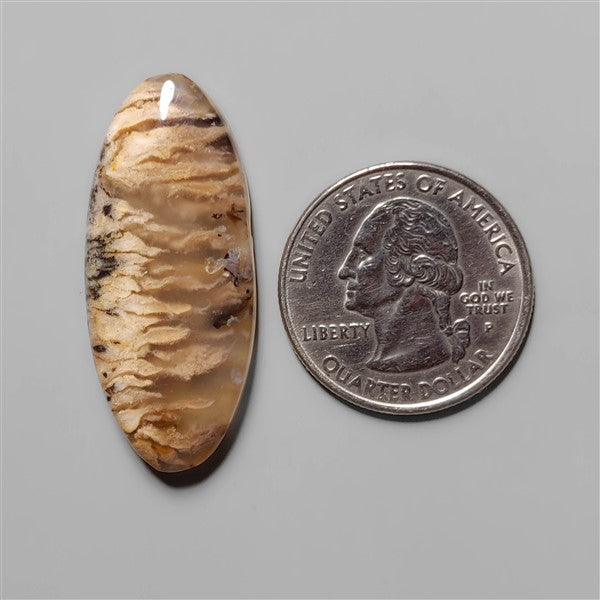 Agate|Dendritic Agate