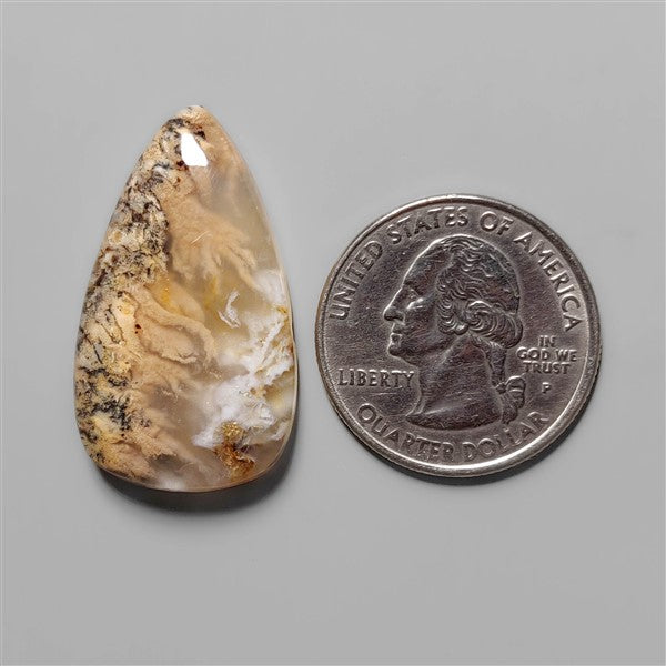 Agate|Dendritic Agate