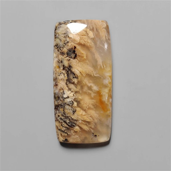 Agate|Dendritic Agate