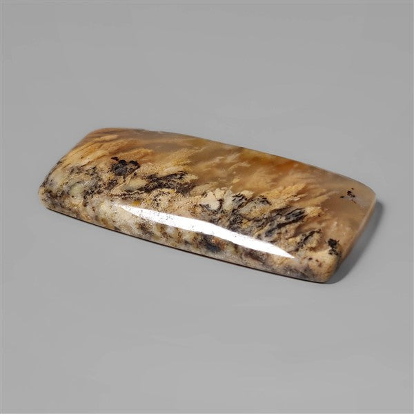 Agate|Dendritic Agate