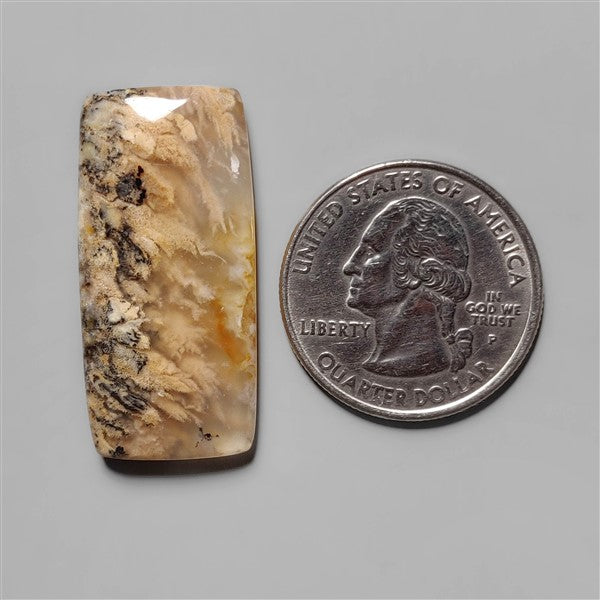 Agate|Dendritic Agate