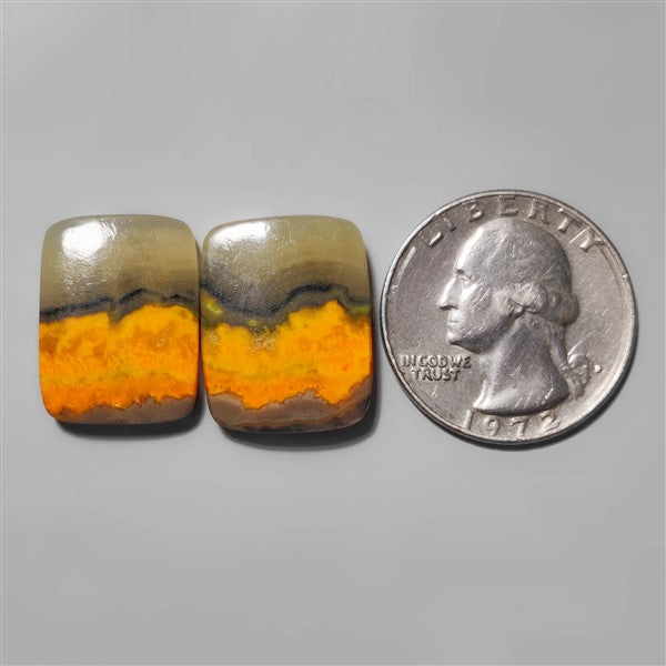 Bumble Bee Jasper