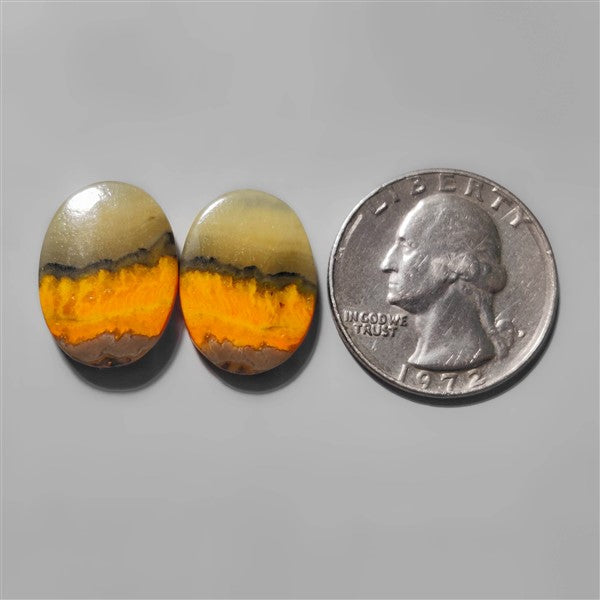 Bumble Bee Jasper