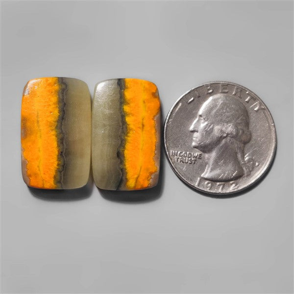 Bumble Bee Jasper
