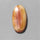 Petrified Wood|Wood