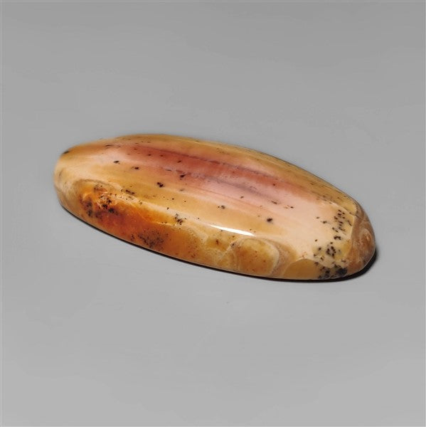 Petrified Wood|Wood