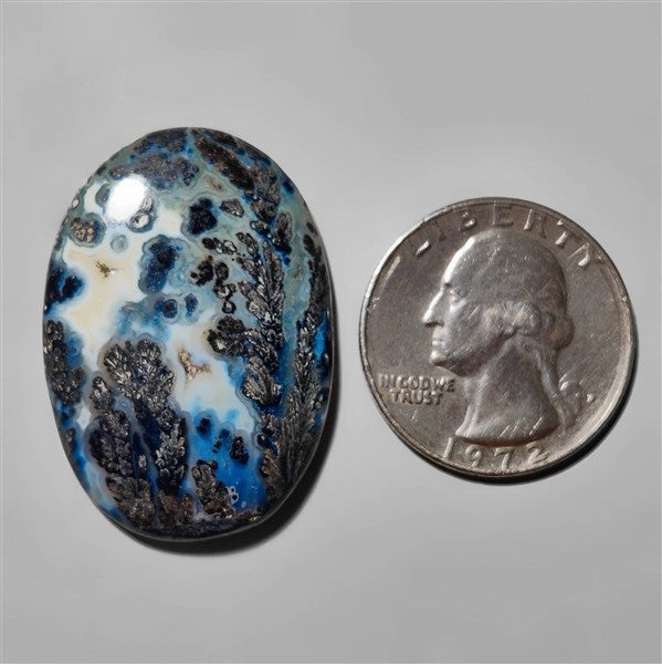 Agate|Dendritic Agate