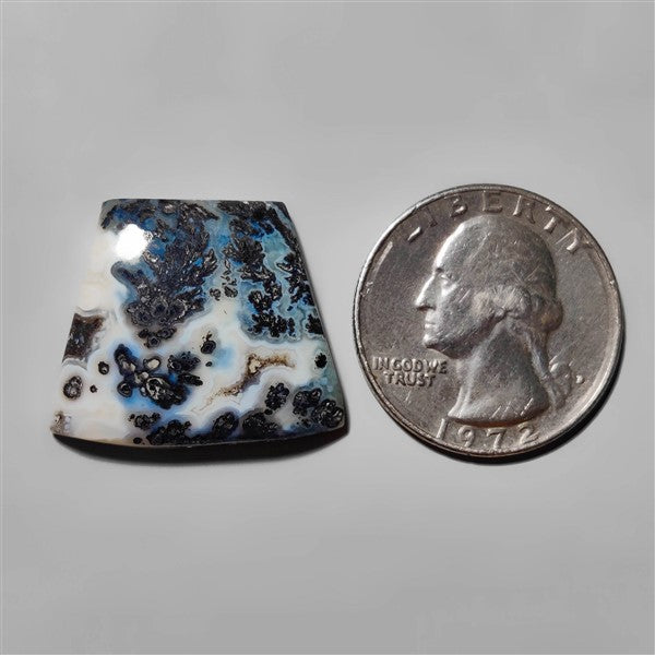 Agate|Dendritic Agate