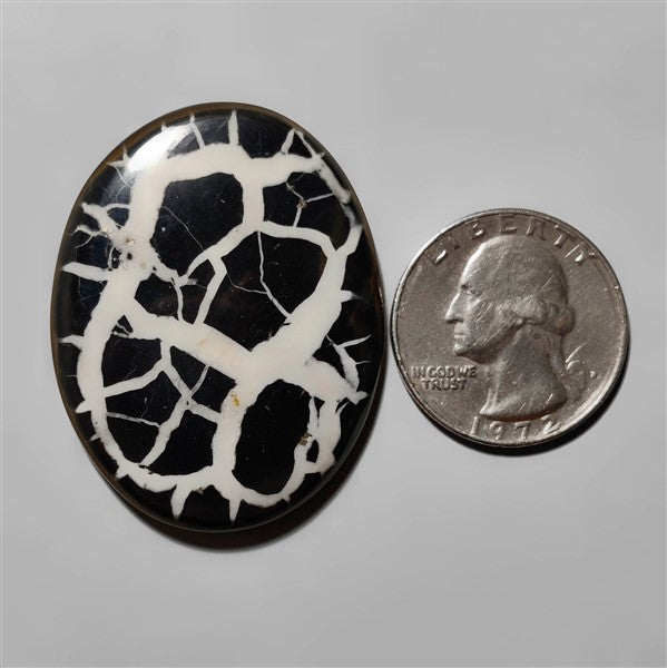 Septarian