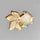 Mother Of Pearl|Pearl