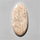 Agate|Palmroot
