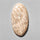 Agate|Palmroot